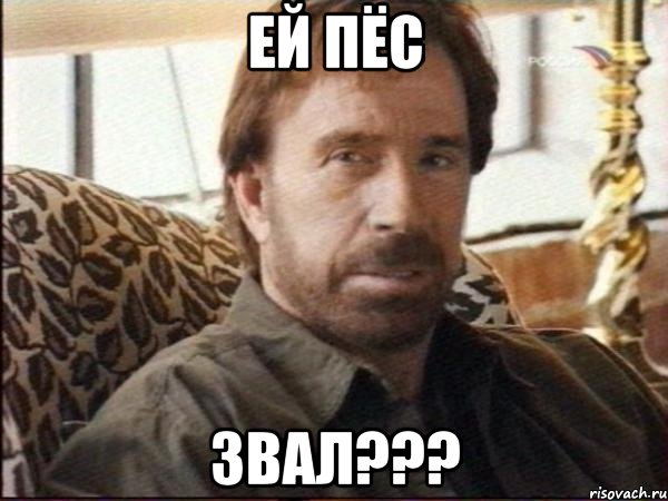 ей пёс звал???