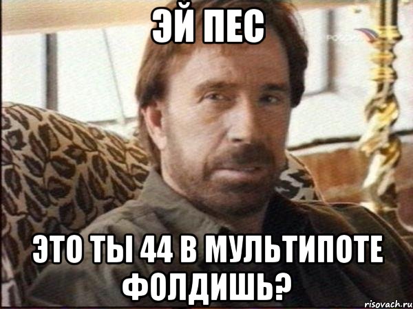 эй пес это ты 44 в мультипоте фолдишь?