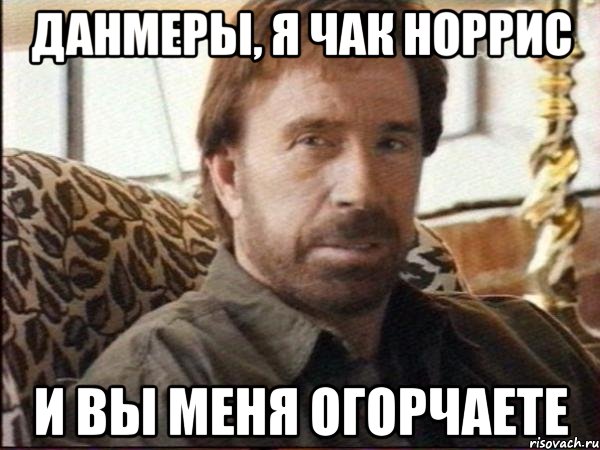 данмеры, я чак норрис и вы меня огорчаете