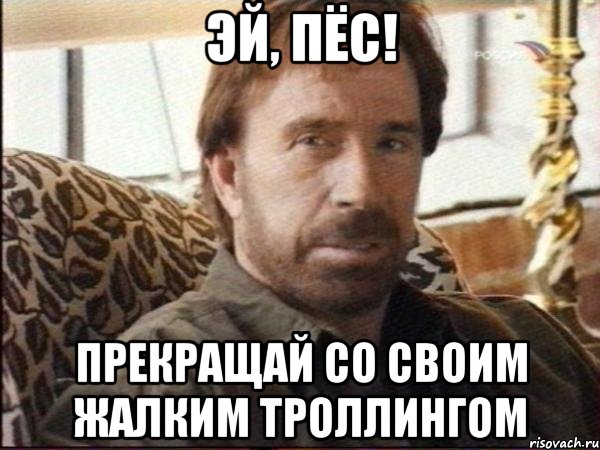 эй, пёс! прекращай со своим жалким троллингом