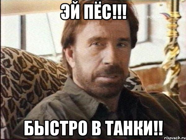 эй пёс!!! быстро в танки!!