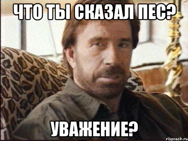что ты сказал пес? уважение?