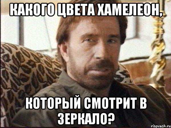 какого цвета хамелеон, который смотрит в зеркало?