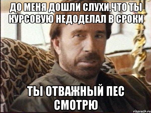 до меня дошли слухи,что ты курсовую недоделал в сроки ты отважный пес смотрю