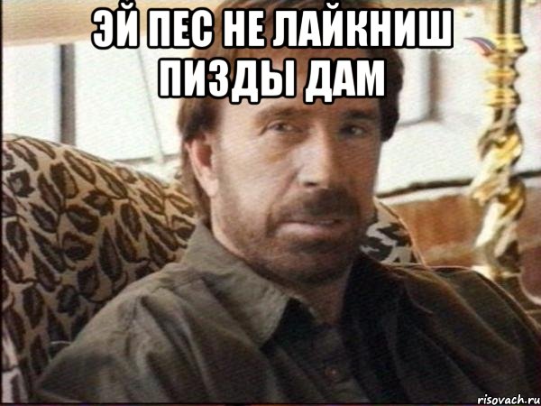 эй пес не лайкниш пизды дам 