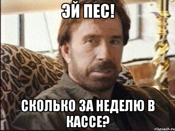 эй пес! сколько за неделю в кассе?
