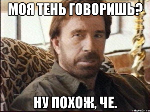 моя тень говоришь? ну похож, че.