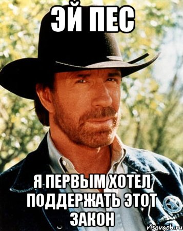 эй пес я первым хотел поддержать этот закон