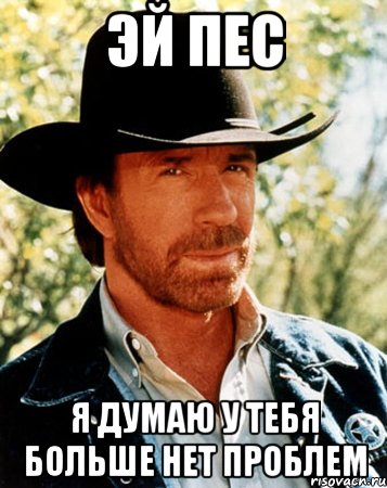 эй пес я думаю у тебя больше нет проблем