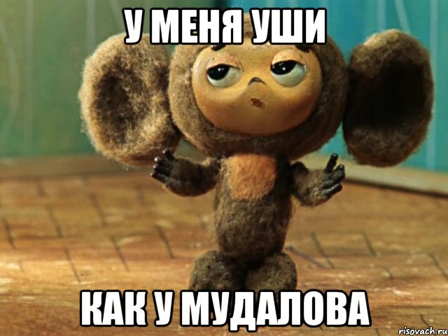 у меня уши как у мудалова