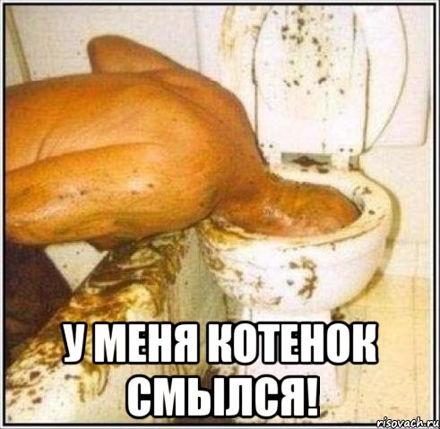  у меня котенок смылся!, Мем Дайвер