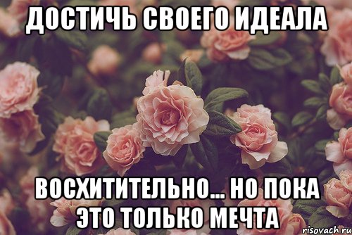 достичь своего идеала восхитительно... но пока это только мечта, Мем ДЕНЬ КОГДА Я РЕШИЛА ВСЕ ПОМЕНЯТЬ