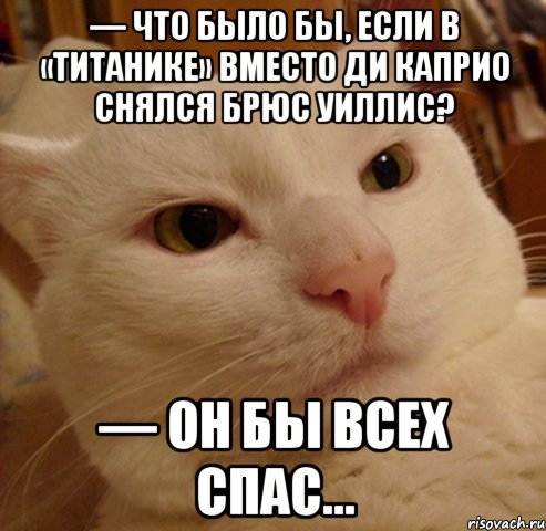 — что было бы, если в «титанике» вместо ди каприо снялся брюс уиллис? — он бы всех спас..., Мем Дерзкий котэ