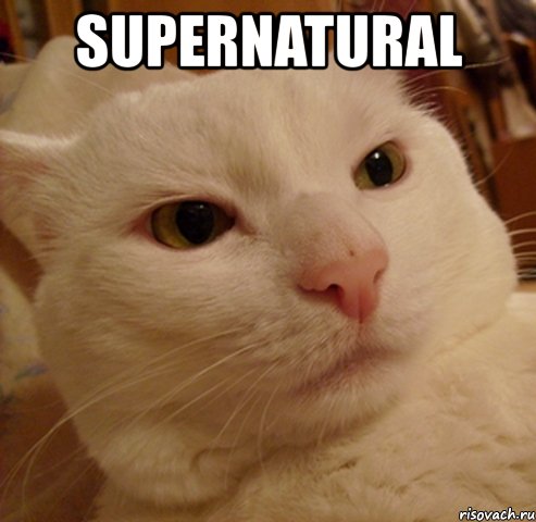 supernatural , Мем Дерзкий котэ