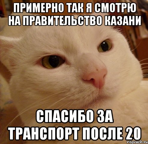 примерно так я смотрю на правительство казани спасибо за транспорт после 20, Мем Дерзкий котэ