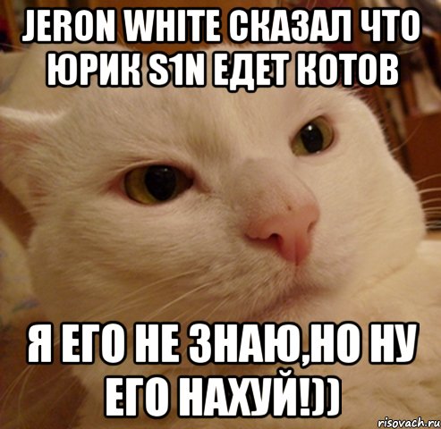 jeron white сказал что юрик s1n едет котов я его не знаю,но ну его нахуй!)), Мем Дерзкий котэ