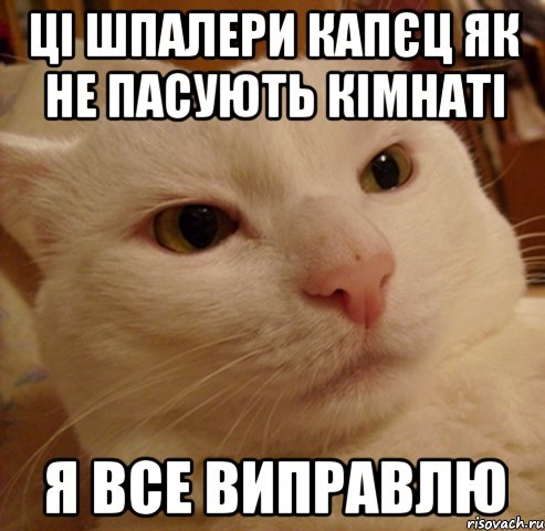 ці шпалери капєц як не пасують кімнаті я все виправлю, Мем Дерзкий котэ