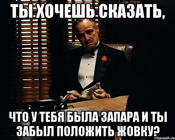 ты хочешь сказать, что у тебя была запара и ты забыл положить жовку?