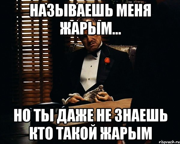 называешь меня жарым... но ты даже не знаешь кто такой жарым, Мем Дон Вито Корлеоне