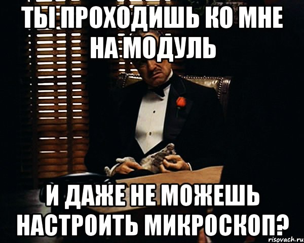 ты проходишь ко мне на модуль и даже не можешь настроить микроскоп?, Мем Дон Вито Корлеоне