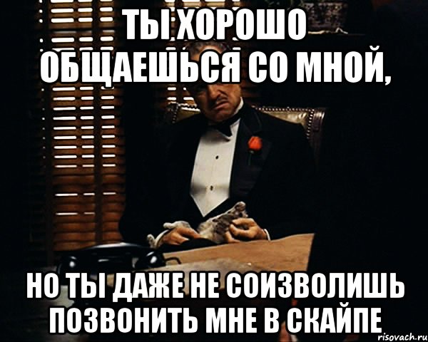 ты хорошо общаешься со мной, но ты даже не соизволишь позвонить мне в скайпе, Мем Дон Вито Корлеоне