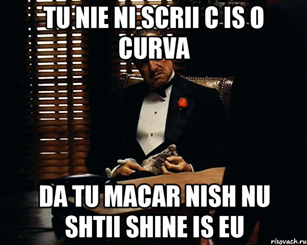 tu nie ni scrii c is o curva da tu macar nish nu shtii shine is eu