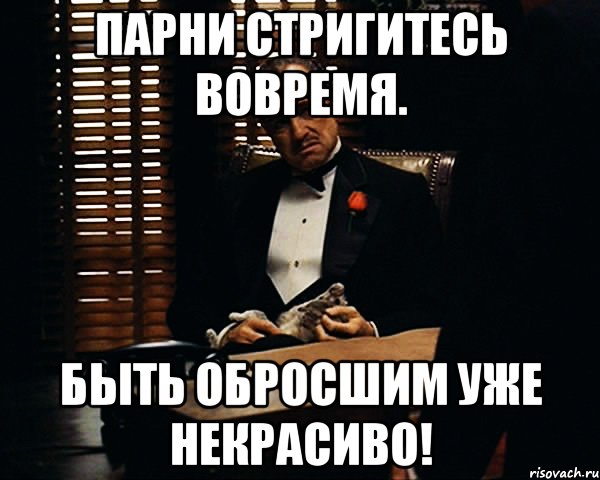 парни стригитесь вовремя. быть обросшим уже некрасиво!, Мем Дон Вито Корлеоне