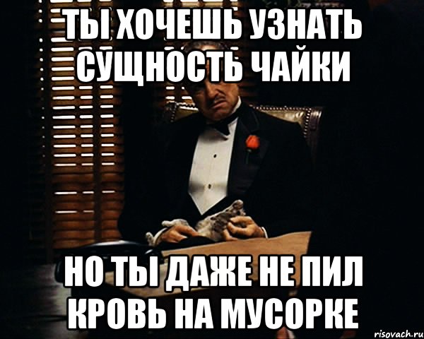 ты хочешь узнать сущность чайки но ты даже не пил кровь на мусорке, Мем Дон Вито Корлеоне