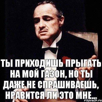 Ты приходишь прыгать на мой газон, но ты даже не спрашиваешь, нравится ли это мне...