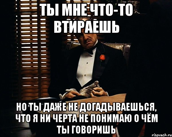 ты мне что-то втираешь но ты даже не догадываешься, что я ни черта не понимаю о чём ты говоришь, Мем Дон Вито Корлеоне