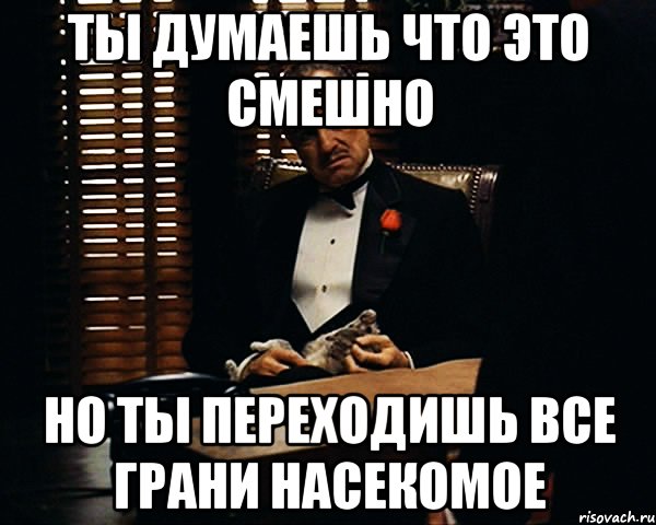 ты думаешь что это смешно но ты переходишь все грани насекомое, Мем Дон Вито Корлеоне