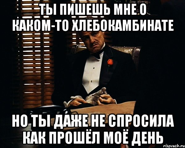 ты пишешь мне о каком-то хлебокамбинате но ты даже не спросила как прошёл моё день, Мем Дон Вито Корлеоне