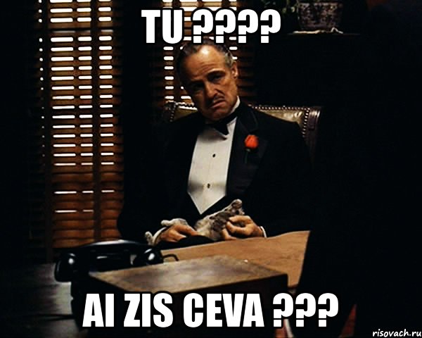 tu ??? ai zis ceva ???, Мем Дон Вито Корлеоне