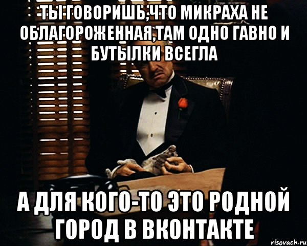 ты говоришь,что микраха не облагороженная,там одно гавно и бутылки всегла а для кого-то это родной город в вконтакте, Мем Дон Вито Корлеоне