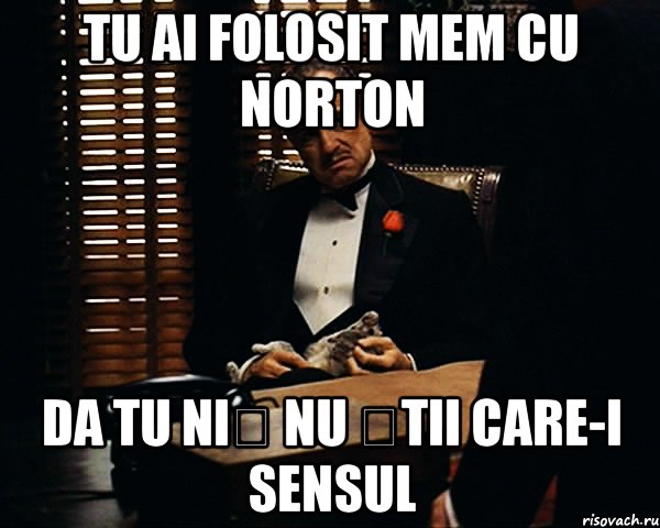 tu ai folosit mem cu norton da tu niș nu știi care-i sensul, Мем Дон Вито Корлеоне