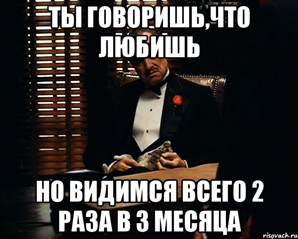 ты говоришь,что любишь но видимся всего 2 раза в 3 месяца, Мем Дон Вито Корлеоне