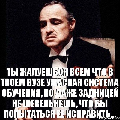 ты жалуешься всем что в твоем вузе ужасная система обучения, но даже задницей не шевельнешь, что бы попытаться ее исправить..., Комикс Дон Вито Корлеоне 1