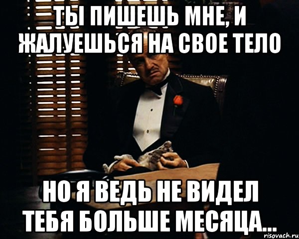 ты пишешь мне, и жалуешься на свое тело но я ведь не видел тебя больше месяца..., Мем Дон Вито Корлеоне