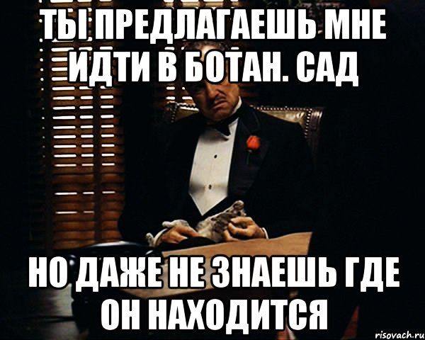 ты предлагаешь мне идти в ботан. сад но даже не знаешь где он находится, Мем Дон Вито Корлеоне