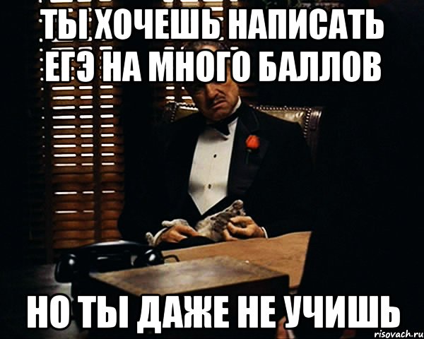 ты хочешь написать егэ на много баллов но ты даже не учишь, Мем Дон Вито Корлеоне