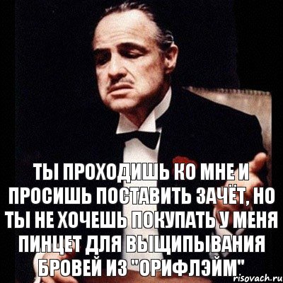 Ты проходишь ко мне и просишь поставить зачёт, но ты не хочешь покупать у меня пинцет для выщипывания бровей из "Орифлэйм", Комикс Дон Вито Корлеоне 1