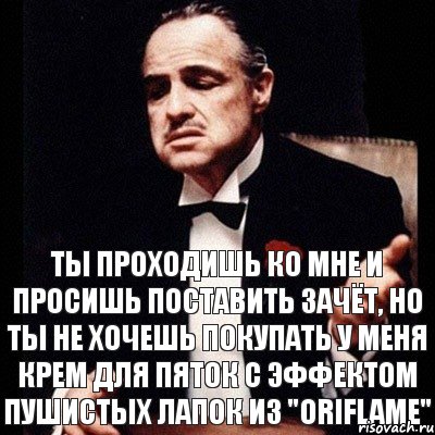 Ты проходишь ко мне и просишь поставить зачёт, но ты не хочешь покупать у меня крем для пяток с эффектом пушистых лапок из "Oriflame", Комикс Дон Вито Корлеоне 1