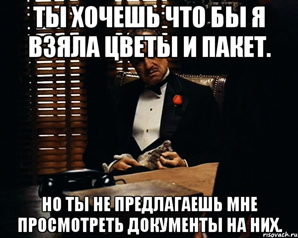 ты хочешь что бы я взяла цветы и пакет. но ты не предлагаешь мне просмотреть документы на них., Мем Дон Вито Корлеоне