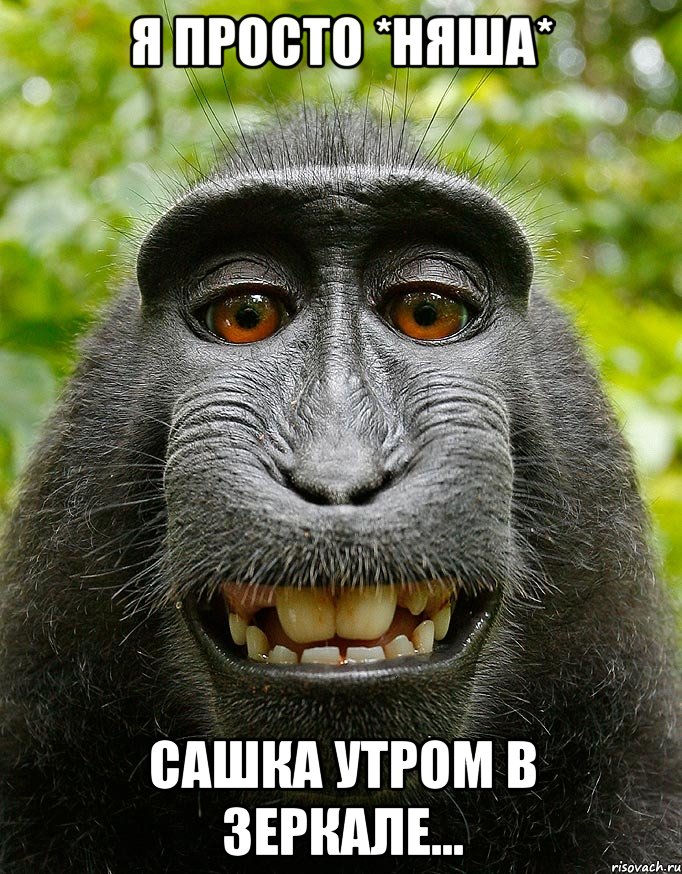 я просто *няша* сашка утром в зеркале...