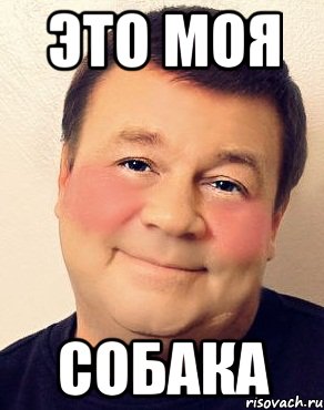 это моя собака