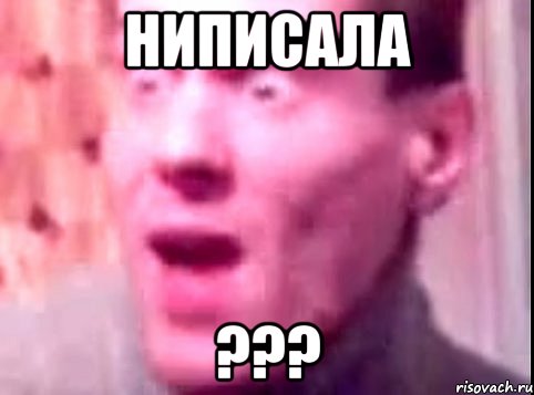 ниписала ???, Мем Дверь мне запили