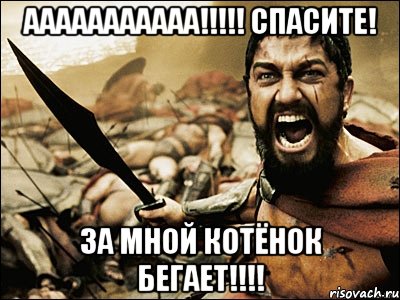 ааааааааааа!!! спасите! за мной котёнок бегает!!!