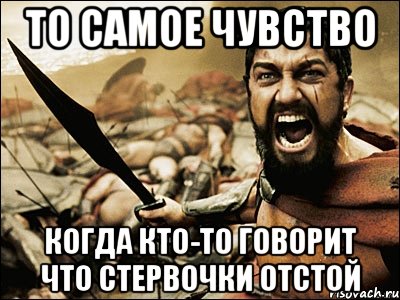 то самое чувство когда кто-то говорит что стервочки отстой, Мем Это Спарта