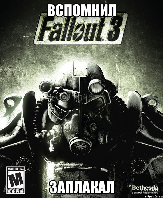 вспомнил заплакал, Мем Обложка Fallout 3