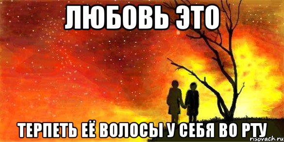 любовь это терпеть её волосы у себя во рту, Мем fdsf